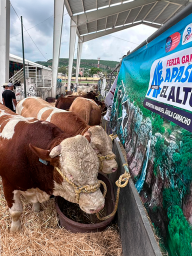 Arranca Feria Ganadera de Apaseo el Alto